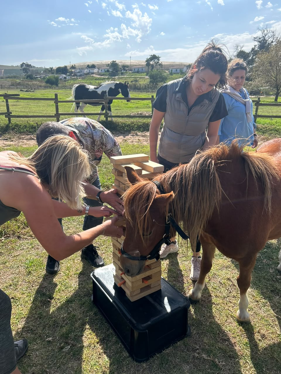 Workshop participants building a block tower beside a chestnut pony
